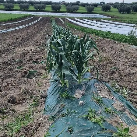 Farfollie Séjour à la ferme *