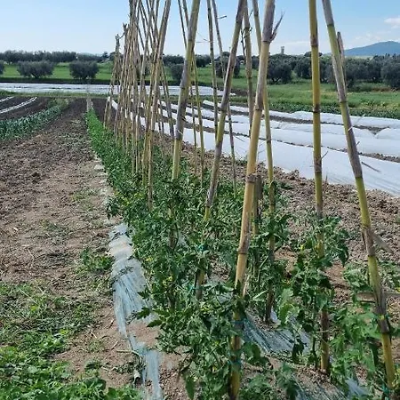 Farfollie Alloggio per agriturismo