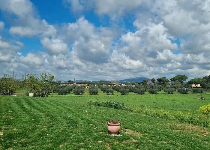 农家乐 Farfollie *